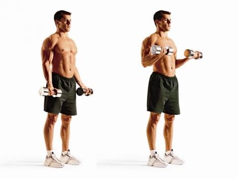 lift the biceps to lose weight